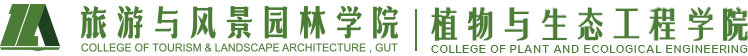 旅游学院